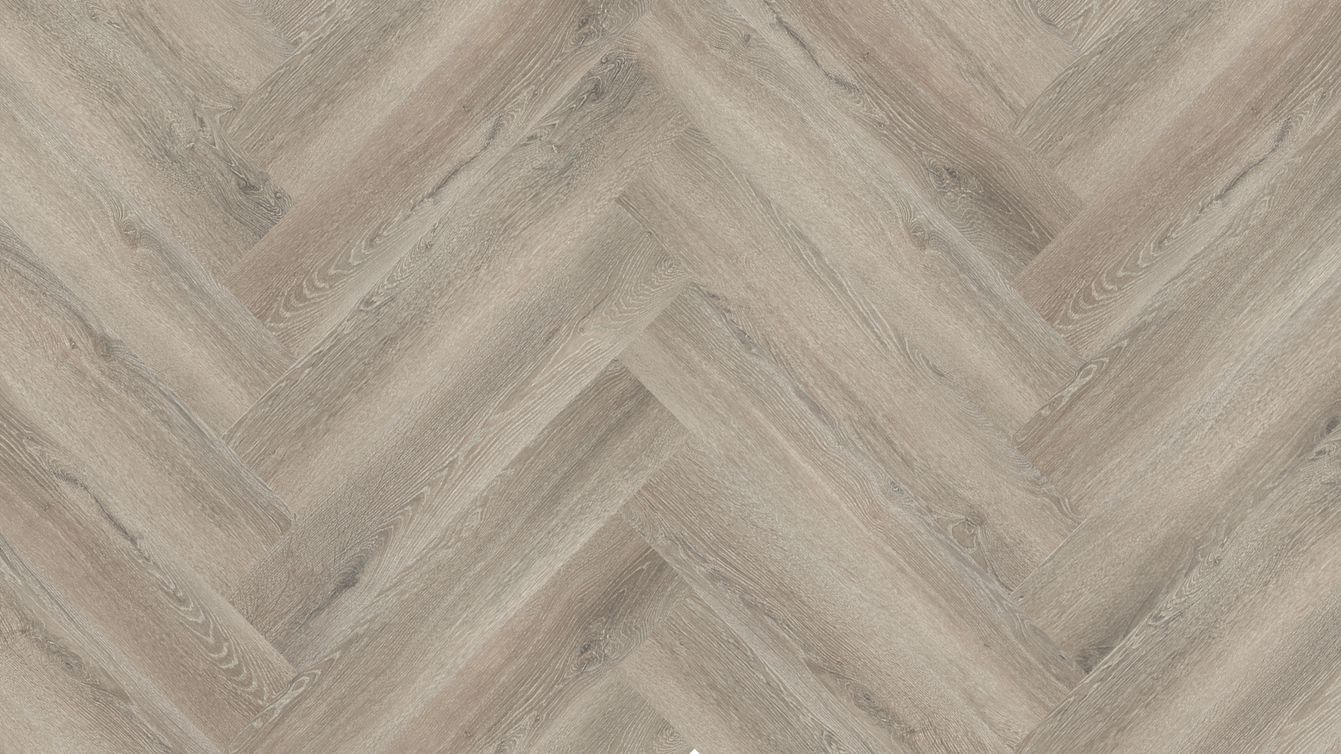 Progress Visgraat XL - Afbeelding 4